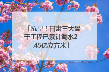 抗旱！甘肃三大骨干工程已累计调水2.45亿立方米