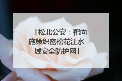 松北公安：靶向施策织密松花江水域安全防护网