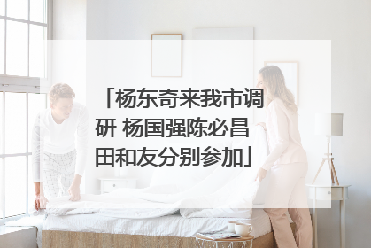 杨东奇来我市调研 杨国强陈必昌田和友分别参加