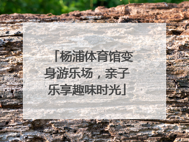 杨浦体育馆变身游乐场，亲子乐享趣味时光