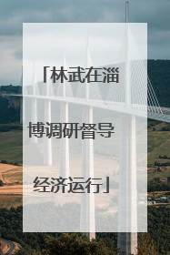 林武在淄博调研督导经济运行