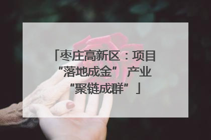 枣庄高新区：项目“落地成金” 产业“聚链成群”
