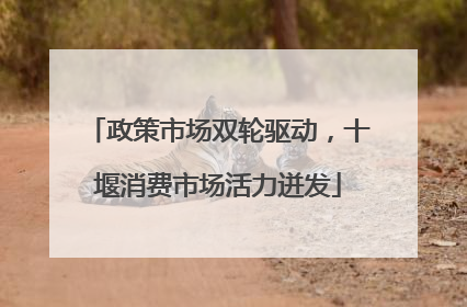 政策市场双轮驱动，十堰消费市场活力迸发