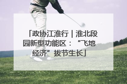 政协江淮行｜淮北段园新型功能区：“飞地经济”拔节生长