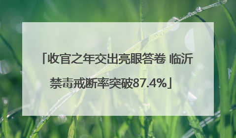收官之年交出亮眼答卷 临沂禁毒戒断率突破87.4%