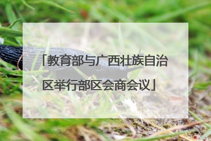 教育部与广西壮族自治区举行部区会商会议