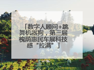 数字人顾问+跳舞机器狗，第三届槐荫惠民车展科技感“拉满”