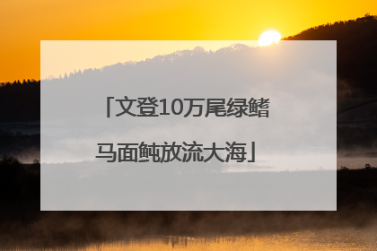文登10万尾绿鳍马面鲀放流大海
