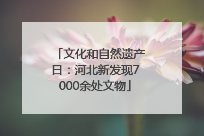 文化和自然遗产日：河北新发现7000余处文物