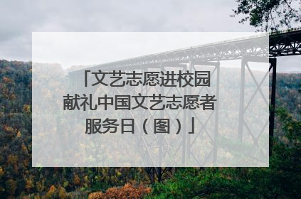 文艺志愿进校园 献礼中国文艺志愿者服务日（图）