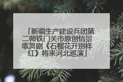 新疆生产建设兵团第二师铁门关市原创情景歌舞剧《石榴花开别样红》将来河北巡演