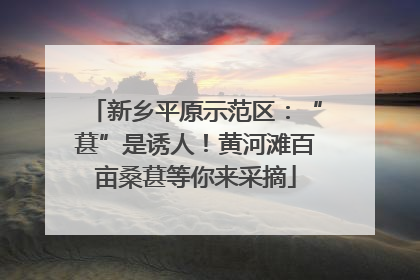 新乡平原示范区：“葚”是诱人！黄河滩百亩桑葚等你来采摘