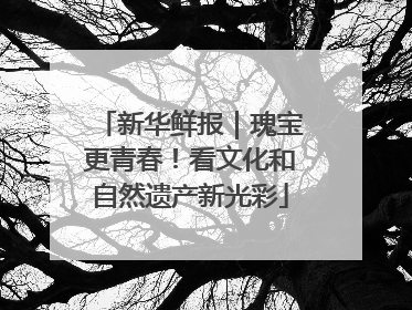 新华鲜报｜瑰宝更青春！看文化和自然遗产新光彩