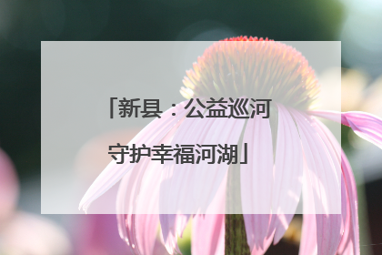 新县：公益巡河守护幸福河湖