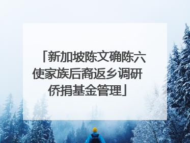 新加坡陈文确陈六使家族后裔返乡调研侨捐基金管理