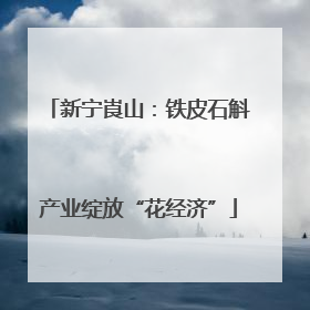 新宁崀山：铁皮石斛产业绽放“花经济”