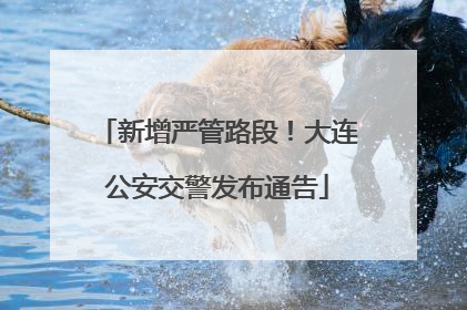 新增严管路段！大连公安交警发布通告