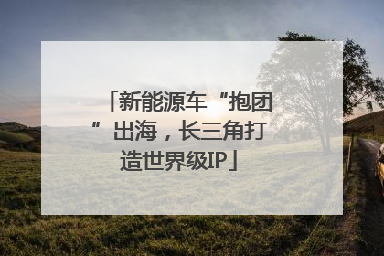 新能源车“抱团”出海，长三角打造世界级IP