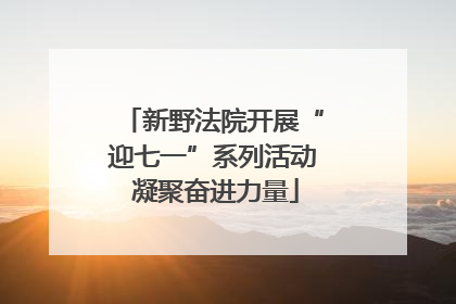 新野法院开展“迎七一”系列活动 凝聚奋进力量