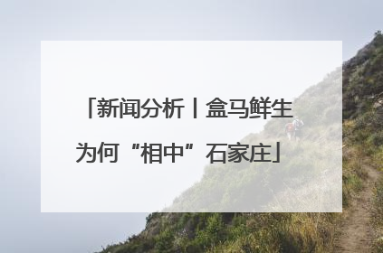 新闻分析丨盒马鲜生为何“相中”石家庄
