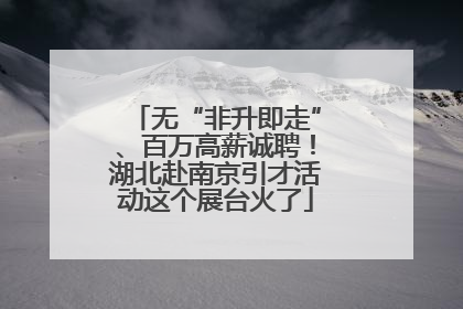无“非升即走”、百万高薪诚聘！湖北赴南京引才活动这个展台火了
