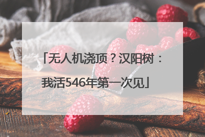 无人机浇顶？汉阳树：我活546年第一次见