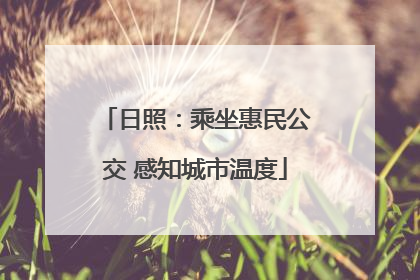 日照：乘坐惠民公交 感知城市温度