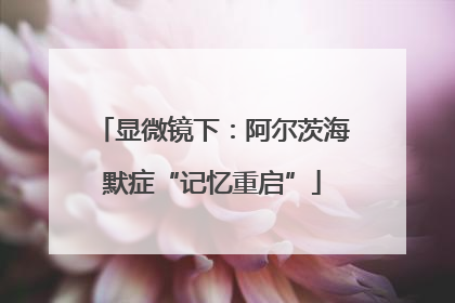 显微镜下：阿尔茨海默症“记忆重启”