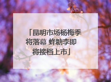 昆明市场杨梅季将落幕 蜂糖李即将接档上市
