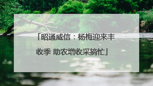 昭通威信：杨梅迎来丰收季 助农增收采摘忙