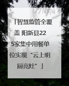 智慧监管全覆盖 阳新县225家集中用餐单位实现“云上明厨亮灶”