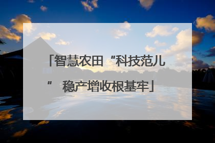 智慧农田“科技范儿” 稳产增收根基牢