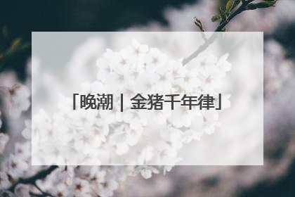 晚潮｜金猪千年律