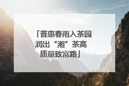 普惠春雨入茶园 润出“湘”茶高质量致富路