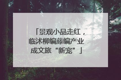景观小品走红，临沭柳编藤编产业成文旅“新宠”