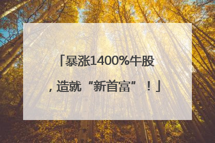 暴涨1400%牛股，造就“新首富”！