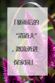 暴雨后的“清道夫”，激流勇进保家园
