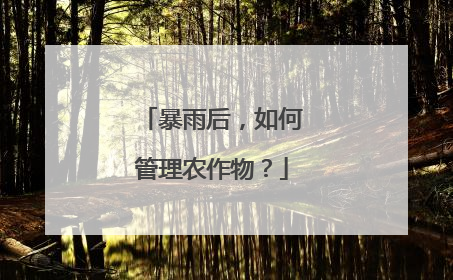 暴雨后，如何管理农作物？