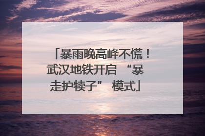 暴雨晚高峰不慌！武汉地铁开启 “暴走护犊子” 模式