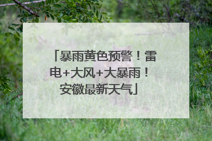 暴雨黄色预警！雷电+大风+大暴雨！安徽最新天气