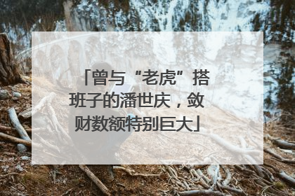曾与“老虎”搭班子的潘世庆，敛财数额特别巨大