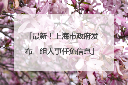 最新！上海市政府发布一组人事任免信息