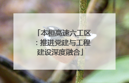本桓高速六工区：推进党建与工程建设深度融合