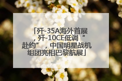 歼-35A海外首展，歼-10CE低调“赴约”，中国明星战机组团亮相巴黎航展