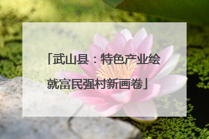 武山县：特色产业绘就富民强村新画卷