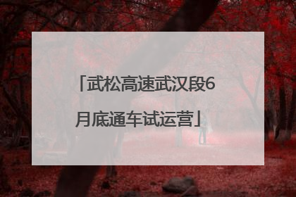 武松高速武汉段6月底通车试运营