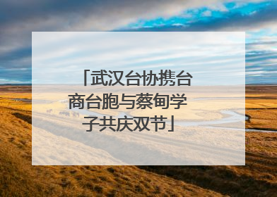 武汉台协携台商台胞与蔡甸学子共庆双节