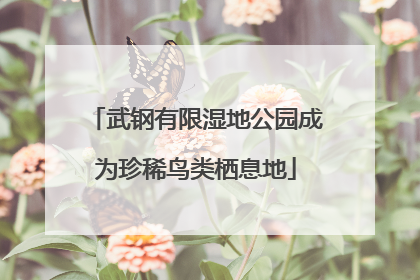 武钢有限湿地公园成为珍稀鸟类栖息地