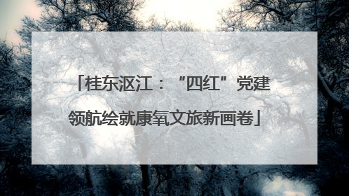 桂东沤江:“四红”党建领航绘就康氧文旅新画卷
