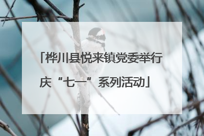 桦川县悦来镇党委举行庆“七一”系列活动